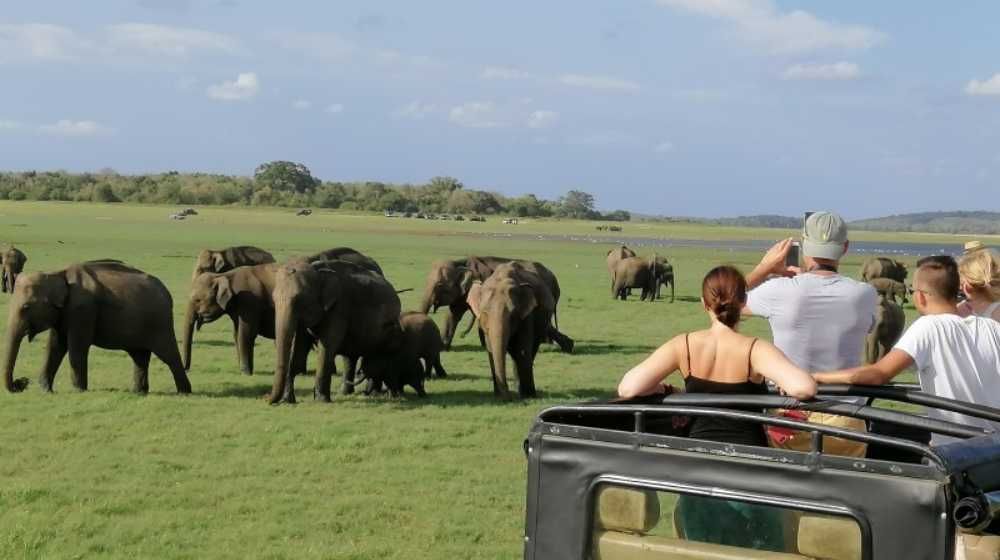 Bundala National Park