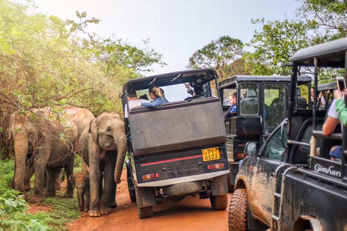 Yala National Park