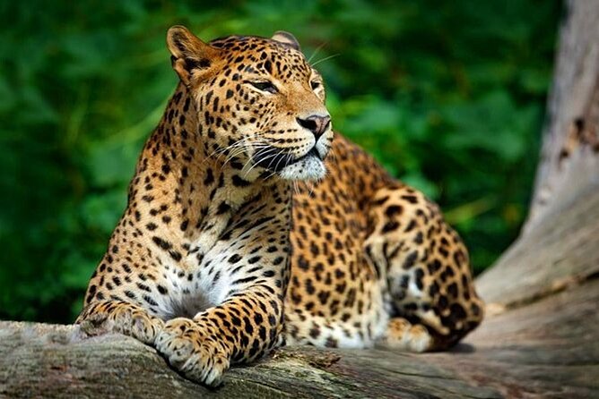Wilpattu National Park